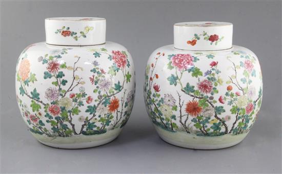 A pair of Chinese famille rose globular jars and covers, late 19th century, height 21.5cm, slight firing faults
